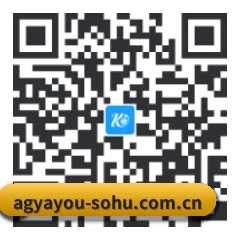 Android 安卓版 二维码